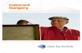 Cataract Surgery .4 CATARACT SURGERY How do Cataracts affect vision? A cataract can cause painless