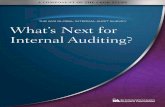 THE IIA’S GLOBAL INTERNAL AUDIT SURVEY What’s Next for ... Documents/2010-CBOK-Whats... · What’s Next for Internal Auditing? ... Giuseppe D’Onza, PhD Rob Melville, ... The