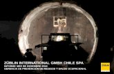 ZÜBLIN INTERNATIONAL GMBH CHILE SPA - intranet.zublin.clintranet.zublin.cl/wp-content/uploads/2017/01/Informe-SSO-mes-de... · Lesiones: Policontuso 4. 5.- RESUMEN DE ACCIDENTABILIDAD