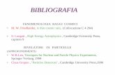 BIBLIOGRAFIA - studentifisica.info · I raggi cosmici sono particelle subatomiche cariche molto energetiche che bombardano continuamente la Terra. Protoni 90%, nuclei di elio (particelle