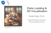 Data Loading & 3D Visualization - Slicer · Data Loading & 3D Visualization Sonia Pujol, Ph.D. Surgical Planning Laboratory Harvard Medical School National Alliance for Medical Image