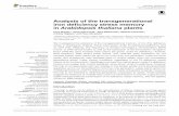Analysis of the transgenerational iron deficiency stress ... · doi: 10.3389/fpls.2015.00745 Analysis of the transgenerational iron deﬁciency stress memory in Arabidopsis thaliana