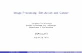 Image Processing, Simulation and Cancer - Ciência 2016 Narra Figueiredo.pdf · a miniature video camera a light source batteries a radio transmitter (CIENCIA 2016)^ Image Processing,