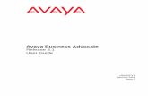 Avaya Business Advocate · Avaya Business Advocate Release 3.1 User Guide 07-300653 Release 3.1 February 2006 Issue 1