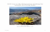 AGS tour to the Peloponnese looking for autumn flowering bulbsmerlin-trust.org.uk/wp-content/uploads/2018/09/605-Lousie-Hay.pdf · Louise Hay 1 . AGS tour to the Peloponnese looking