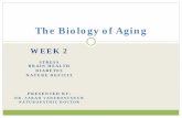 The Biology of Aging - Carleton University · The Biology of Aging . Housekeeping ... Book: The Power of Now by Eckart Tolle . BREATHE