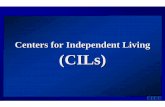 Centers for Independent Living (CILs) - Legislative Servicesdls.virginia.gov/GROUPS/Disability/meetings/082306/services.pdf · Centers for Independent Living must provide four core