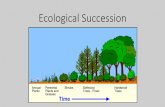 Ecological Succession - GO EAGLES!inmanscience.weebly.com/.../5/7/7/3/57738537/ecological_succession.pdf · •Ecological Succession: the series of changes in an ecosystem when one