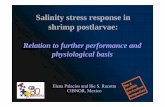 Salinity stress response in shrimp postlarvae - UGent · Salinity stress response in shrimp postlarvae: ... A n i v e rs a i o Relation to further performance and physiological basis.