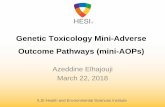 Genetic Toxicology Mini-Adverse Outcome Pathways (mini-AOPs)hesiglobal.org/wp-content/uploads/sites/11/2018/05/07-Genetic-tox... · MICROTUBULI & TUBULIN BINDING SITES Kunal Nepali