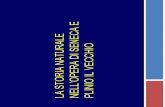 La storia naturale nell’opera di Seneca e Plinio il Vecchioliceoclassicojesi.gov.it/mancini/GruppoA.pdf · Prefazione Predominanza dello studio della natura e di Dio rispetto a