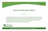 How Herbicides Work - cottoninc.com · ... 2011 How WSSAdo herbicides All Rights work? ... • Lynn Ingegneri, PhD (Consultant) • Jill Schroeder, PhD (New Mexico State University)