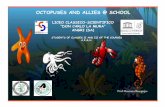 OCTOPUSES AND ALLIES @ SCHOOL - paginediscienze.com · liceo classico-scientifico “don carlo la mura” angri (sa) students of classes ii and iii of the courses a,e,g,h. octopuses