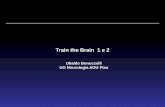 Train the Brain 1 e 2 - c .8 cicli ciascuno di 18 sessioni di stimolazione cognitiva, con esercizi