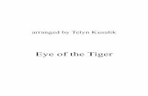 Eye of the Tiger - chaoticinsurrectionensemble.org · 6 Fl. Cl. Alto Sax. Ten. Sax. Bsn. Tpt. Tpt. Tbn. Tba. Glock. Accord.