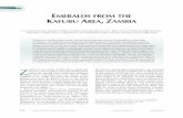 EMERALDSFROMTHE AFUBU AREA,Z - GIA · 120 EMERALDSFROMTHEKAFUBUAREA,ZAMBIA GEMS&GEMOLOGY SUMMER2005 A minor emerald “rush” occurred in 2002 at Chief Mujimanzovu’svillageintheMusakashiarea,Solwezi