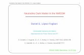Neutralino Dark Matter in the NMSSM Daniel E. Lopez-Fogliani´ 2006_Room B_Agora/13 - 7 - 2006... · Neutralino Dark Matter in the NMSSM, D. E. Lopez-Fogliani.´ 9 Minimization of