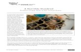 A Horrible Hundred · The Horrible Hundred ©The Humane Society of the United States, May 2013 | CONTENTS 1 Many dogs at Royal Acres Kennel in Magnolia, NC, were ...