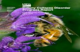 Colony Collapse Disorder - USDA ARS · Colony Collapse Disorder Progress Report CCD Steering Committee June 2011. Mention of trade names or commercial products in this report is solely