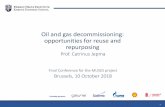 Oil and gas decommissioning: opportunities for reuse and ...sites.dundee.ac.uk/muses/wp-content/uploads/sites/70/2018/10/10... · Founding partners Prof. Catrinus Jepma Final Conference