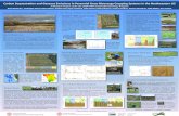 Carbon Sequestration and Gaseous Emissions in Perennial ... · Brian Richards, Cathelijne Stoof, Cedric Mason, ... Todd Walter, Larry Geohring (Department of Biological & Environmental