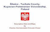 Śliwice , Tuchola County, Kuyavian-Pomeranian Voivodeship ...polishorigins.com/public/places/sliwice_tuchola_county.pdf · Śliwice , Tuchola County, Kuyavian-Pomeranian Voivodeship,