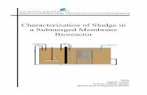 Characterization of Sludge in a Submerged Membrane Bioreactorprojekter.aau.dk/projekter/files/17651714/Characterization_of... · Characterization of Sludge in a Submerged Membrane