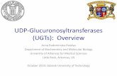 UDP-Glucuronosyltransferases (UGTs): Overvie · glucuronidation leads to higher levels of aspirin) Examples of UGT Polymorphisms •UGT1A7 –Glucuronidates polycyclic aromatic hydrocarbons