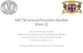 UGT Structure/Function Studies (Part 2) - Strona główna · UGT Structure/Function Studies (Part 2) Anna Radominska-Pandya Department of Biochemistry and Molecular Biology University