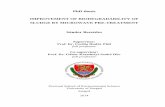 PhD thesis IMPROVEMENT OF BIODEGRADABILITY OF …doktori.bibl.u-szeged.hu/2353/3/Beszedes thesis EN.pdf · PhD thesis IMPROVEMENT OF BIODEGRADABILITY OF SLUDGE BY MICROWAVE PRE-TREATMENT