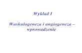 Wykład I Waskulogeneza i angiogeneza – wprowadzeniebiotka.mol.uj.edu.pl/zbm/handouts/2004_01_angiogeneza.pdf · Live zebrafish (Danio rerio) embryos 4 days after fertilization,