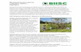 Big Island Invasive Species Committee (BIISC) Highlightsdlnr.hawaii.gov/hisc/files/2013/03/HISC-Annual-Report... · 2013-03-14 · Big Island Invasive Species Committee (BIISC) Highlights