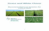 Grass and White Clover - Agriculture · grassland with regard to early spring grass, mid-season production, extended grazing in the autumn etc., mean that care needs to be taken in