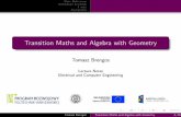 Transition Maths and Algebra with Geometrytomtracz/TRANSITION/09 functions and limits.pdf · Basic De nitions Elementary functions Limits Asymptotes Transition Maths and Algebra with