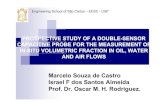 Engineering School of São Carlos – EESC - USP · engineering school of são carlos – eesc - usp prospective study of a double-sensor capacitive probe for the measurement of in-situ