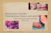 Homeopathic Nosodes: Treating Strep, Herpes, and Lyme Disease · Psorinum - scabies Medorrhinum - gonorrhea Tuberculinum - tuberculosis Syphilinum - syphilis Plus Carcinosin as the