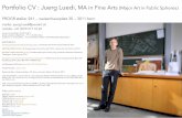 Portfolio CV : Juerg Luedi, MA in Fine Arts (Major Art in ...poolart.ch/mainmenu/contact/Portfolio_JuergLuedi_2017.pdf · cultural practices : juerg luedi 2017 14.5.17 peeling #3,