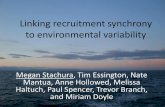 Linking recruitment synchrony to environmental variability · Linking recruitment synchrony to environmental variability Megan Stachura, Tim Essington, Nate Mantua, Anne Hollowed,