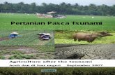 Pertanian Pasca Tsunami - dpi.nsw.gov.au · tentang rehabilitasi tanaman pangan dan tanah ... pertumbuhan bintil akar (untuk fiksasi N dari udara), dan pemakaian pemberian pupuk ...