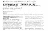 Fluorodeoxyglucose Positron Emission Tomography in the ... · Fluorodeoxyglucose Positron Emission Tomography in the Evaluation of Tumors of the Nasopharynx, Paranasal Sinuses, ...