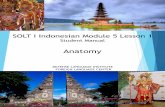 M5L1student correction nonotes - LIVE LINGUA manuals/DLI... · Anatomy Indonesian SOLT I Introduction Module 5 Lesson 1 2 Main Parts of the Body Exercise 1 (Pair Work) Your instructor