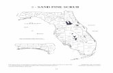 3 SAND PINE SCRUB - Society For Range Managementrangelands.org/ESD/2011_florida/Florida 26 Ecological Site... · The Sand Pine Scrub ecological community occurs throughout Florida.