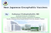 New Japanese Encephalitis Vaccines - Mahidol · New Japanese Encephalitis VaccinesNew Japanese Encephalitis Vaccines Kulkanya Chokephaibulkit, MD ... a2_kulkanya_30_11_2007.ppt