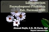 Ahmad Najib, S.Si, M.Farm, Apt - FITOKIMIA UMI | ‘Menuju ... · Lab. Farmakognosi-Fitokimia adalah satu diantara 5 lab yang ada di FF UMI. Kegiatan di fokuskan pada praktikum dan