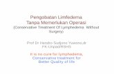 Pengobatan Limfedema Tanpa Memerlukan Operasipustaka.unpad.ac.id/wp-content/uploads/2014/06/Lymphedema-Medan.pdf · Tanpa Memerlukan Operasi (Conservative Treatment Of Lymphedema
