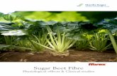 Sugar Beet Fibre · in sugar beets are mainly assigned to store nutritional reserves, and are not lignified to the same extent (Figure 2). These differences in cell structure give