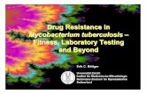 Drug Resistance in - Molecular Tuberculosis · 1 5 10 50 wt various population Drug Concen-tration mg/L n high level resistance, rpoB mutations e.g. rpoB S531L, H526Y, H526D 1 5 10