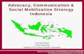 ACS strategy Indonesia - stoptb.org Strategy... · Puskesmas Priv Pract Gov Hosp Priv Hosp Midwife Self-treatm ... Advocacy to stakeholders (Professional, Micro credit groups, MDG
