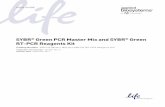 SYBR® Green PCR Master Mix and SYBR® Green RT-PCR … · step of a two-step reverse-transcription polymerase chain reaction (RT-PCR) protocol. In a One-Step RT-PCR protocol, MultiScribe™