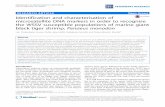 Identification and characterisation of microsatellite DNA ... · RESEARCH ARTICLE Open Access Identification and characterisation of microsatellite DNA markers in order to recognise
